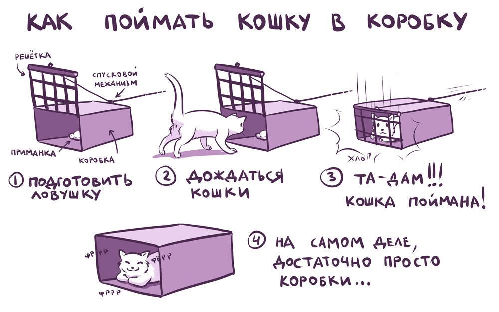 Карта кровати по версии кота картинки