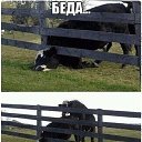 ���� Stanislav, ������ - ��������� 28 ������� 2015 � ������ ������ ��������