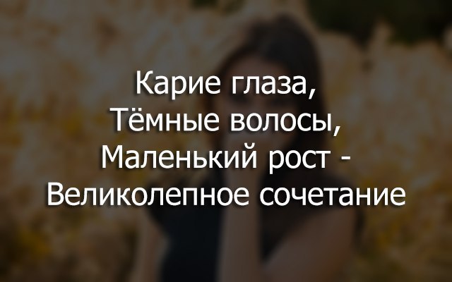 �������� ������� - 28 �������� 2015 � 11:30