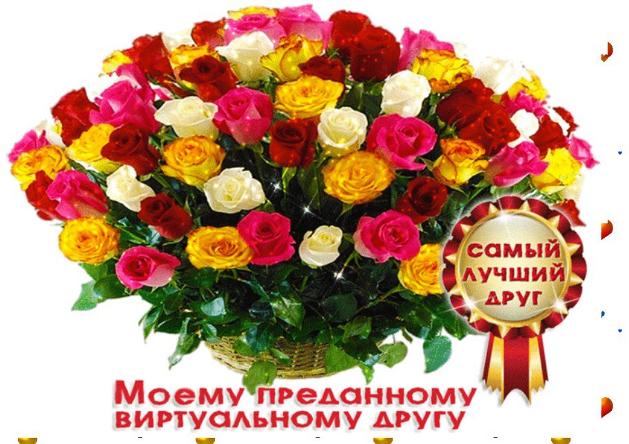 �������� - 11 ������� 2016 � 01:04 - 2