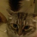   ))  !!!, , 70  -  25  2015    