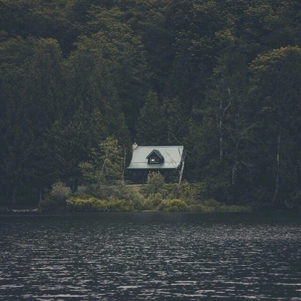 Нет времени лучше осени, чтобы приступить к забыванию всего, что томит и тревожит. Надо стрясти с ... - 6