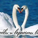 ���� ������, ������ ��������, 63 ���� - ��������� 26 ������ 2015 � ������ �������� ��������