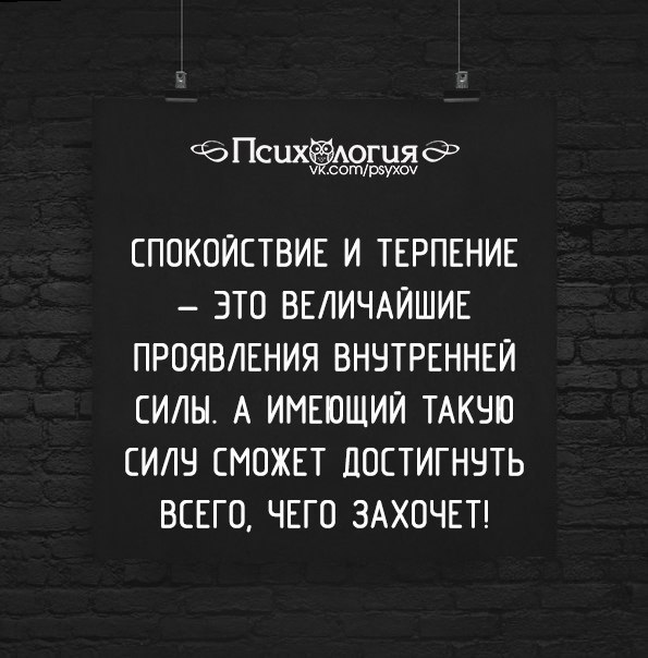 В спокойствии сила картинки