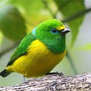  ••,  -  28  2015   