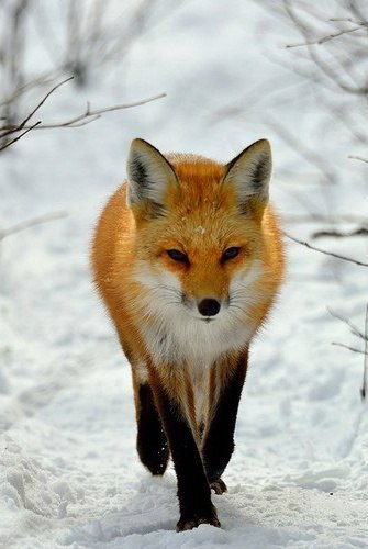   - 19  2015  22:30 - 6