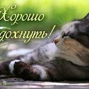 ���� �������, ������, 52 ���� - ��������� 11 ������� 2015 � ������ �������� ��������