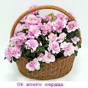 ���� �������, ���������� - ��������� 20 ������� 2016 � ������ �������� ��������