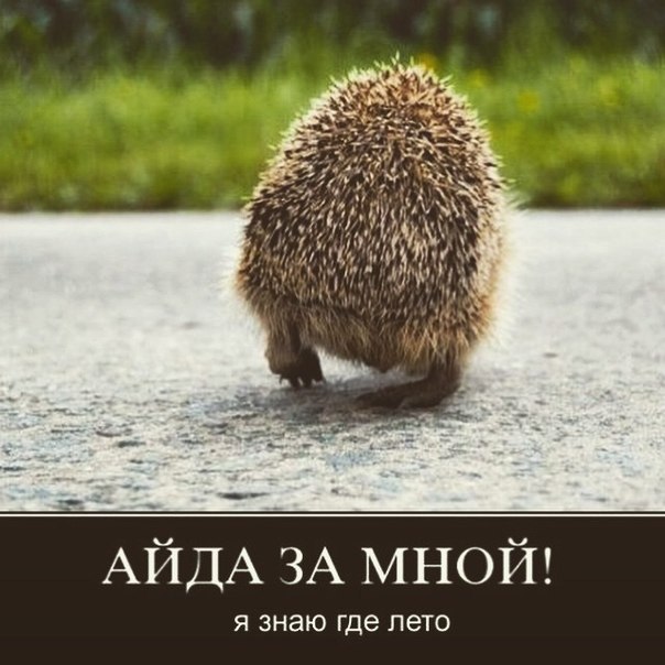  ... - 3  2016  16:05