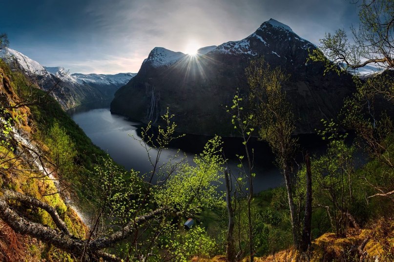  Max Rive. - 7