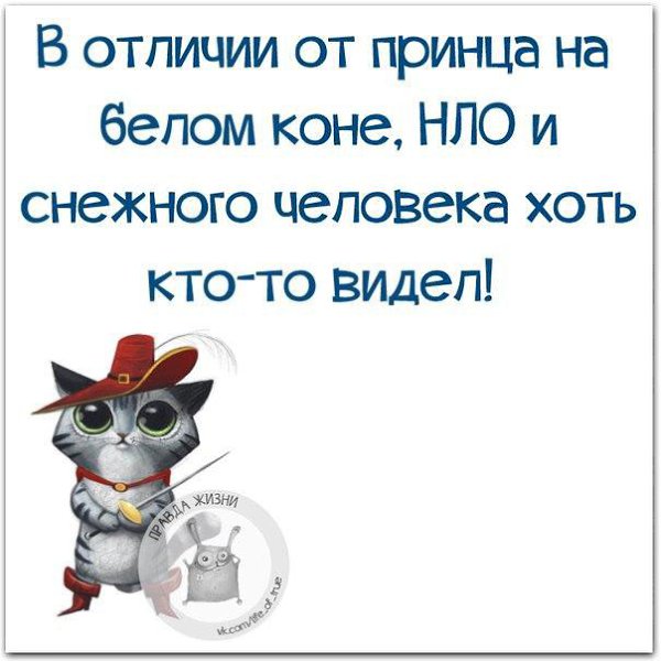 ������ ����� - 8 ����� 2016 � 11:15