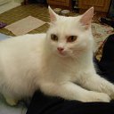���� Olezhka***, ����, 65 ��� - ��������� 25 ������� 2015 � ������ ����� ���������