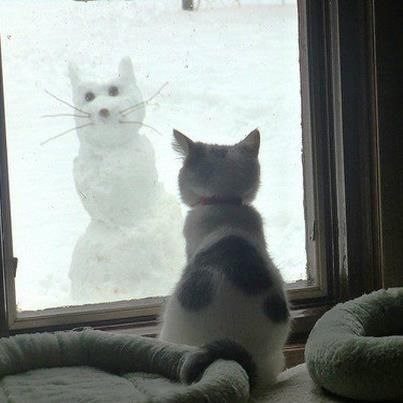 CATS OF ALL - 9 ������� 2015 � 20:48
