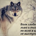 ���� ������, �����-���������, 46 ��� - ��������� 3 ������ 2016 � ������ ������ ��������