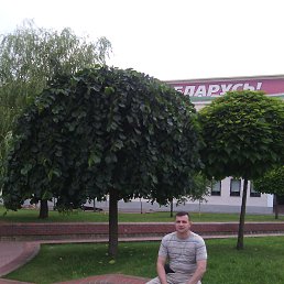 ���� ������, ������, 44 ���� - ��������� 3 ������� 2016