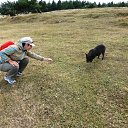  , , 60  -  5  2016     2015