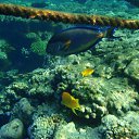  , , 59  -  16  2015    Ż