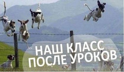 ? ,  ! - 18  2016  03:54