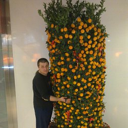 ���������, ��������, 57 ���