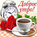 ���� �����, ���������� - ��������� 28 ������ 2015 � ������ �������� ��������