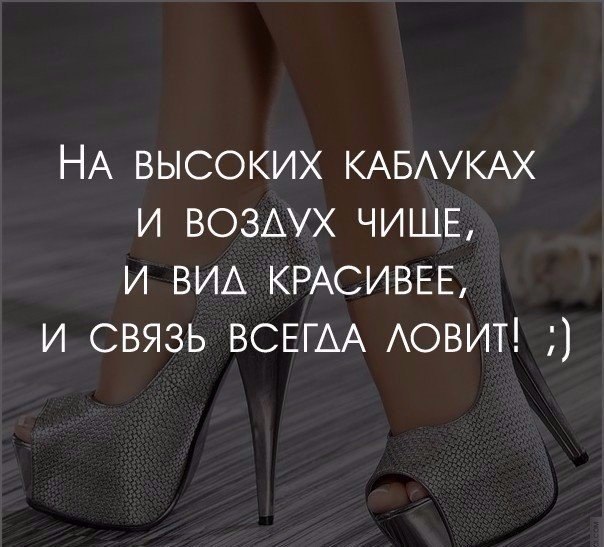   |  |  - 12  2015  00:31