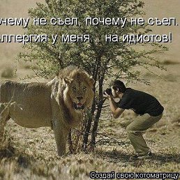 �����, ������