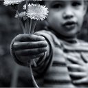  Dali, , 52  -  6  2015    