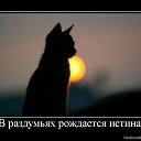 ���� S��, ���� - ��������� 1 ����� 2016 � ������ �������