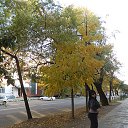  ,  -  7  2015    