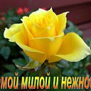 ���� �������, ����� - ��������� 8 ����� 2016 � ������ �������� ��������