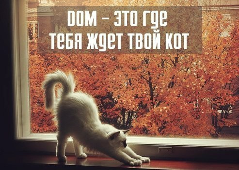  ,   ,   :     ,    ...