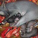 ���� ����, ���������� ����� - ��������� 4 ������� 2016 � ������ ���� ������