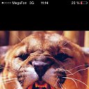 ���� ��� -���, ������, 40 ��� - ��������� 23 ������ 2015 � ������ ���� ����������