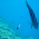 ���� �������, ����� - ��������� 2 ������ 2016 � ������ ���� ����������