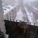 ���� �������, �������������� - ��������� 24 ������� 2015 � ������ ������ ��������