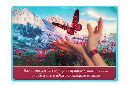   - 2  2015  23:31