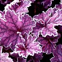  ••,  -  15  2015   