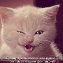 ���� ����, �����������, 34 ���� - ��������� 30 ������� 2015 � ������ ���� ����������