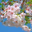 ���� ����, �����-��������� - ��������� 1 ����� 2016 � ������ ������ ��������