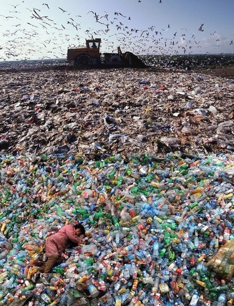 ��� ���. ����� ����, ��� ������� ��. - 2