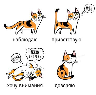      - 5