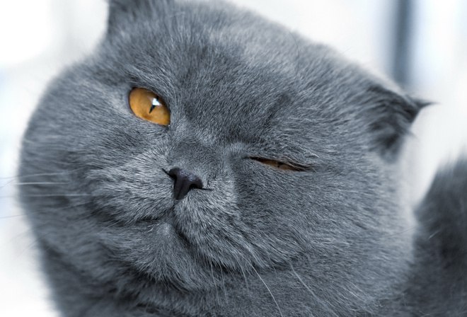   -,       (((   ???  ...