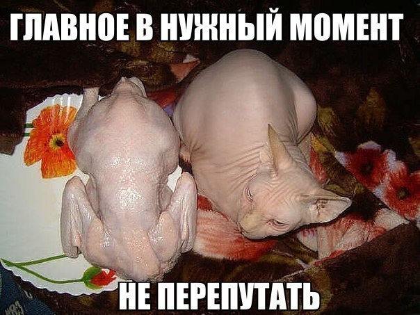   - 30  2015  19:30