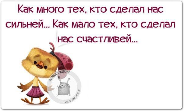   - 6  2015  21:48