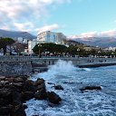  , , 60  -  10  2016     ,08.02.16.