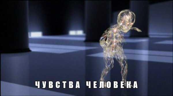 Документальные фильмы BBC: Чувства человека .1 Серия: Обоняние2 Серия: Зрение3 Серия: Вкус4 Серия: ...