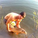 ���� �������, ����� �������, 41 ��� - ��������� 31 ������� 2015