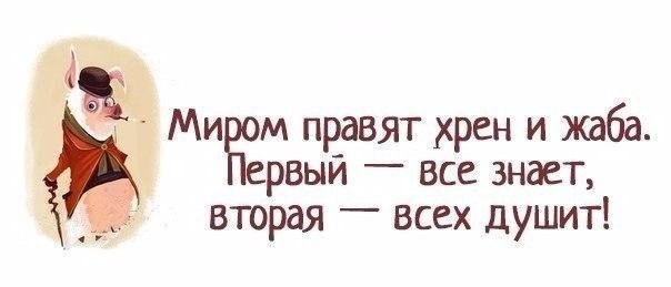    |   - 1  2016  13:30