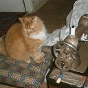 ���� �������, ����, 69 ��� - ��������� 6 ������ 2016 � ������ ������ ��������