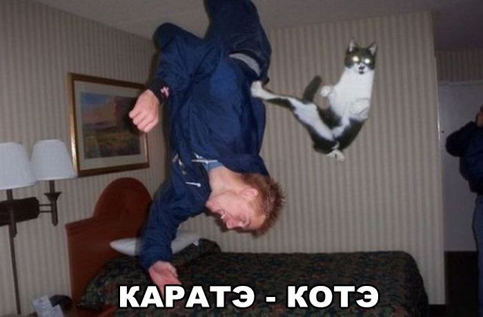    :D - 29  2015  08:11